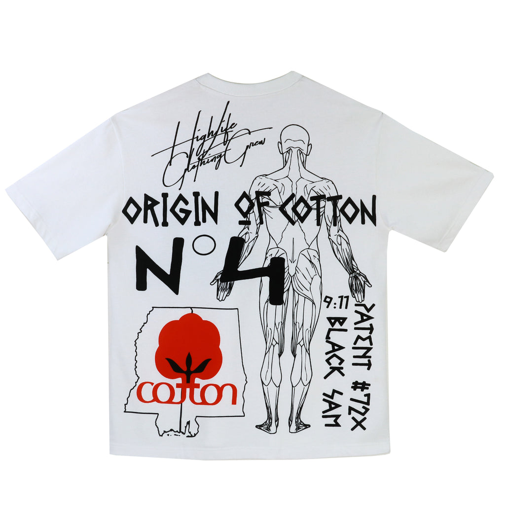 Origin of COTTON